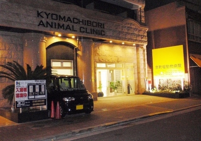 京町堀動物病院